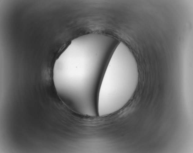 X0000089721156200707051714
