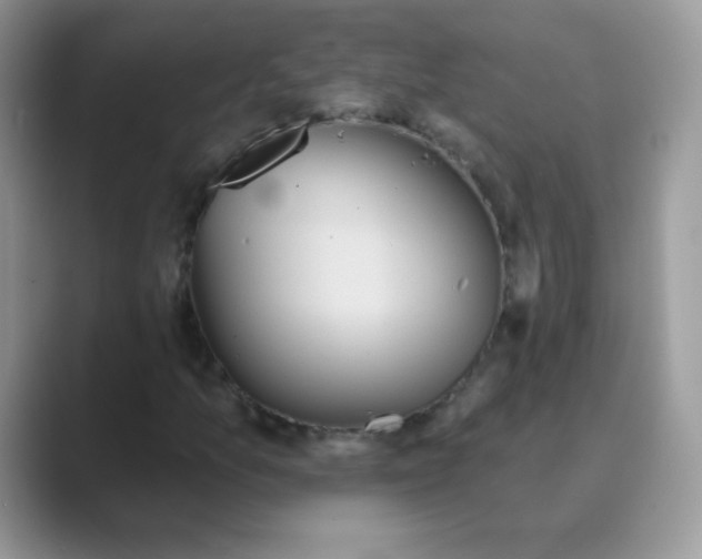 X0000089721157200707051714