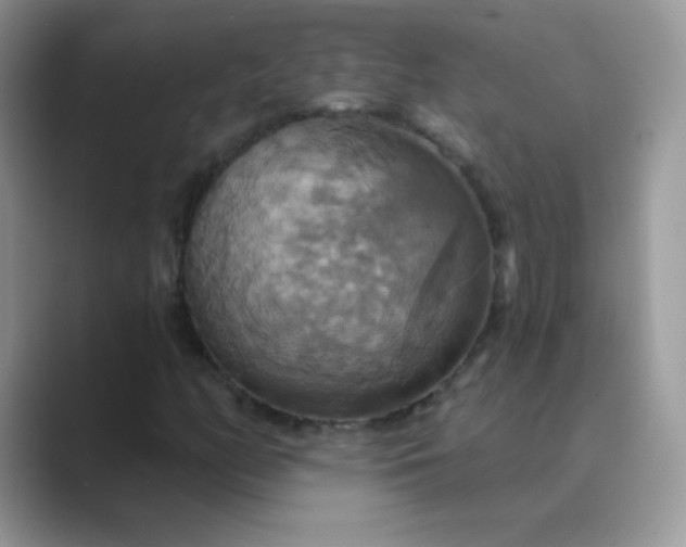 X0000089721158200707051714