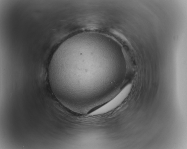 X0000089721160200707051714