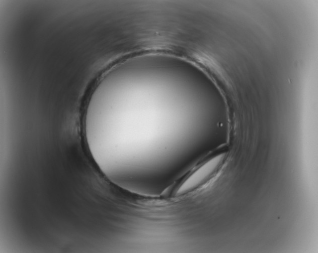 X0000089721164200707051714