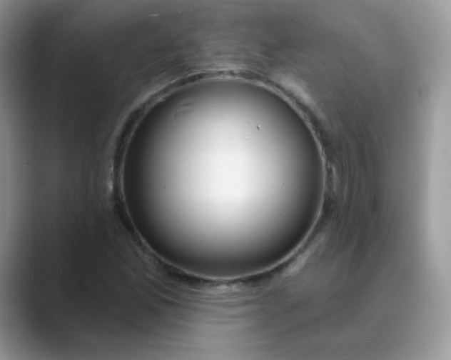 X0000089721165200707051714