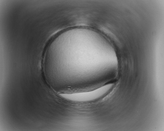 X0000089721166200707051714