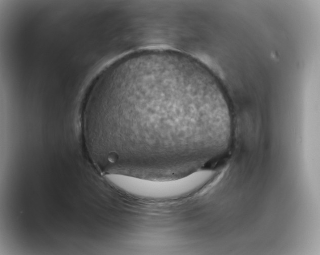 X0000089721167200707051714