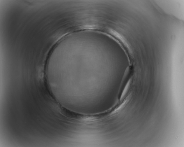 X0000089721170200707051714