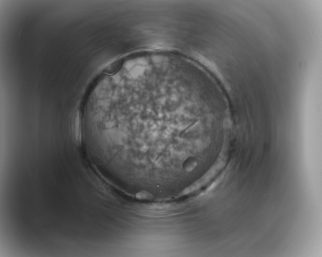 X0000089721171200707051714