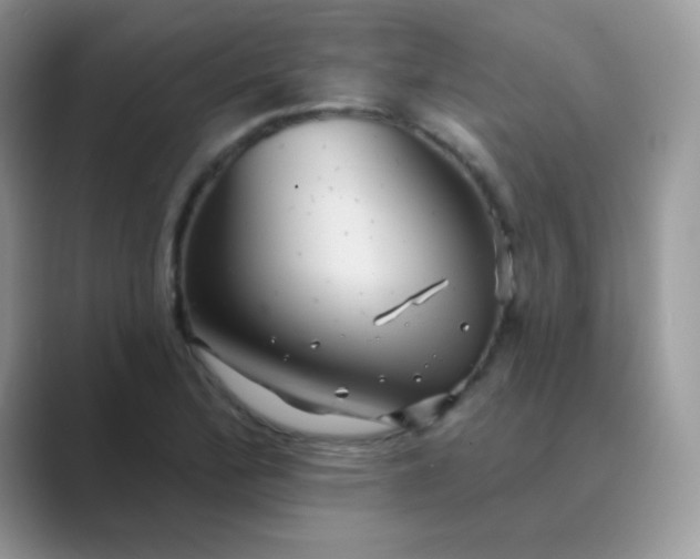 X0000089721172200707051714