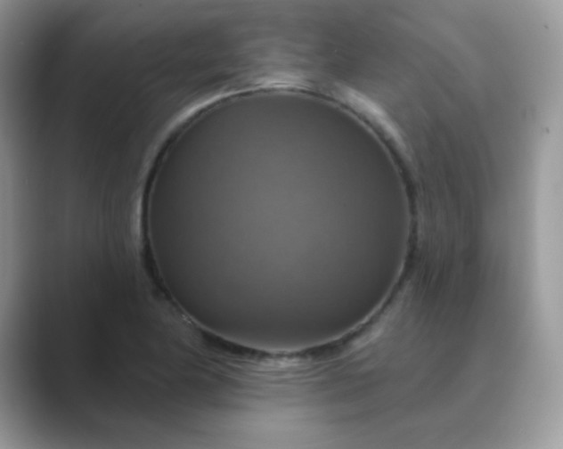 X0000089721174200707051714