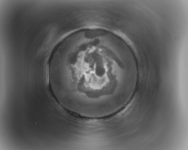 X0000089721175200707051714