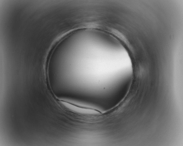 X0000089721176200707051714
