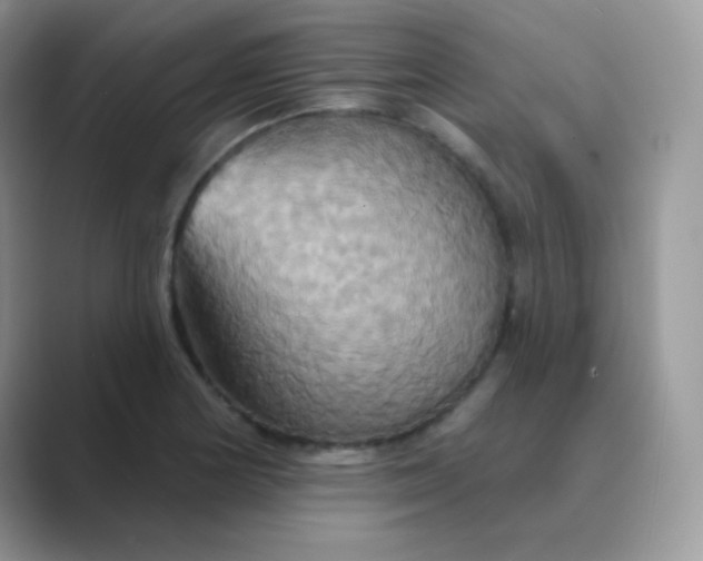 X0000089721178200707051714