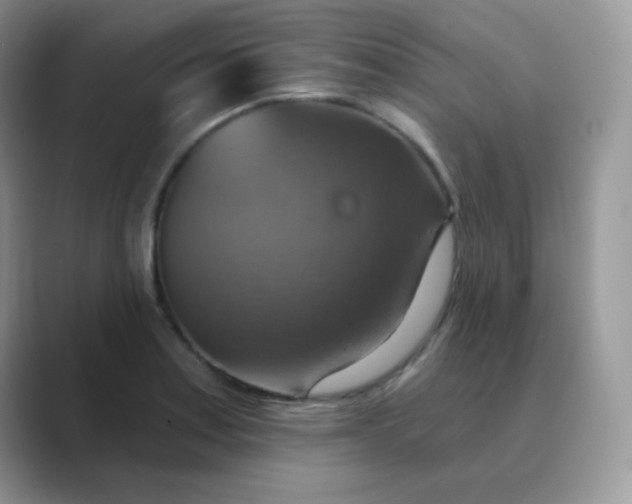 X0000089721179200707051714