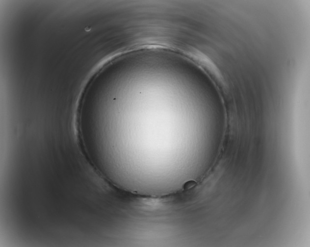 X0000089721182200707051714