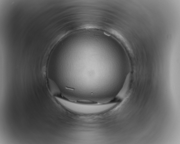 X0000089721185200707051714