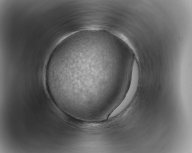 X0000089721187200707051714