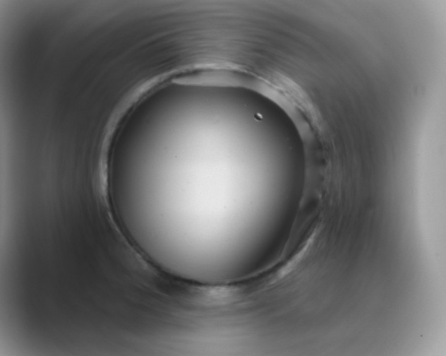 X0000089721188200707051714