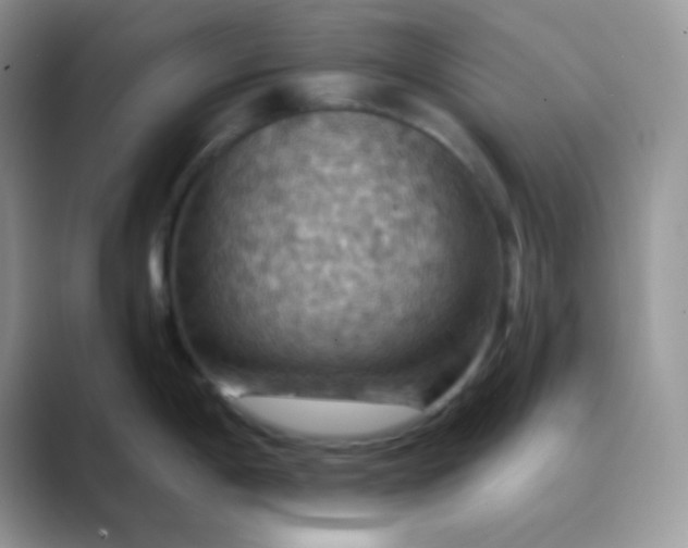 X0000089721198200707051714