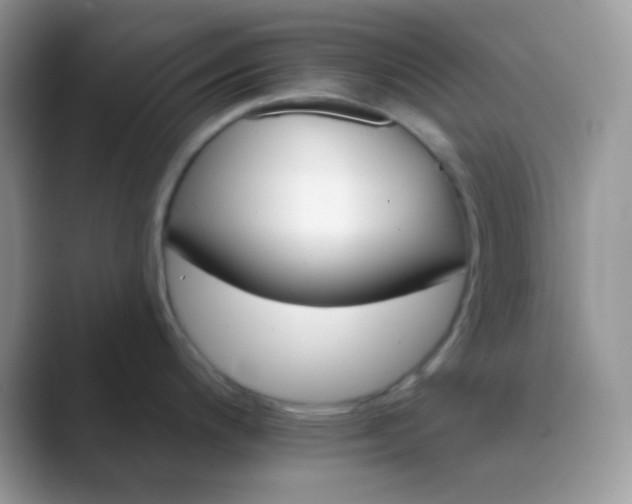X0000089721200200707051714