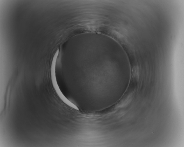 X0000089721202200707051713