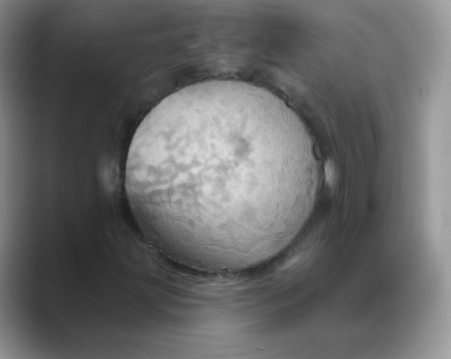 X0000089721203200707051713