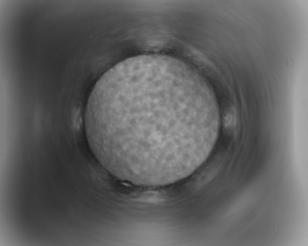 X0000089721204200707051713
