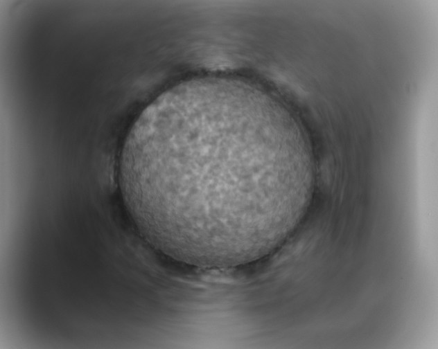 X0000089721205200707051713
