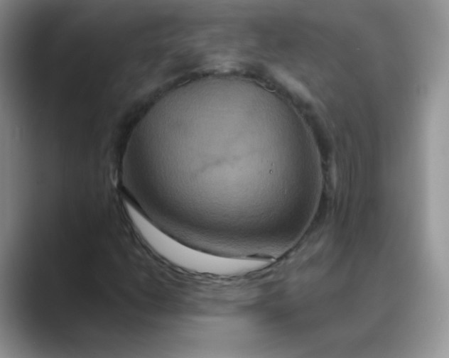 X0000089721206200707051713