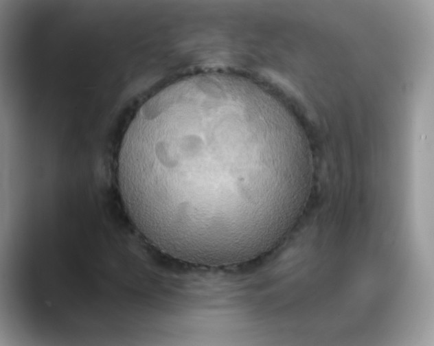 X0000089721207200707051713