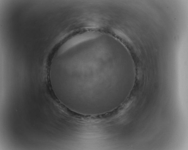 X0000089721208200707051713