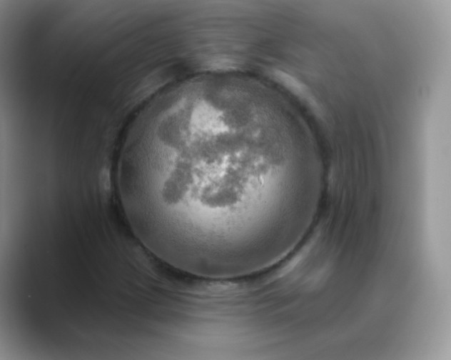 X0000089721209200707051713