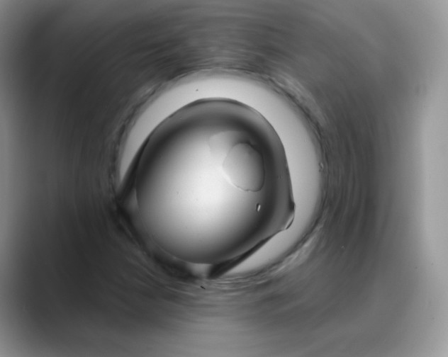 X0000089721210200707051713