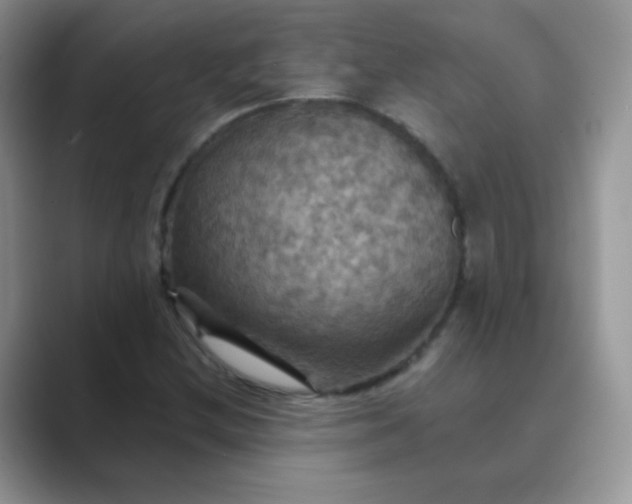X0000089721212200707051713
