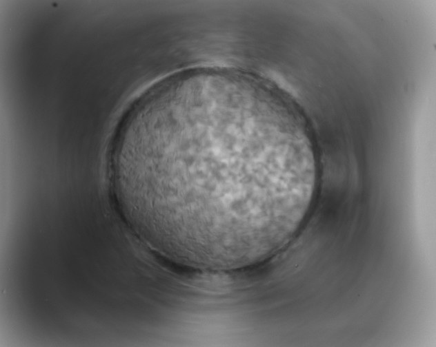 X0000089721215200707051713