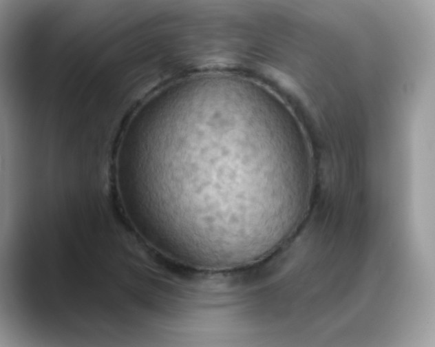 X0000089721217200707051713