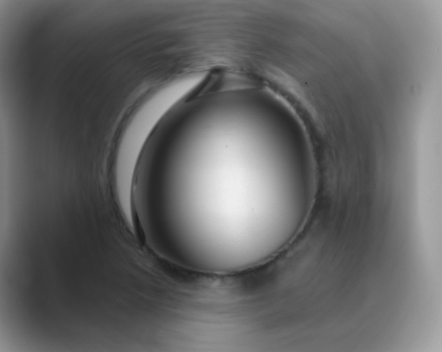 X0000089721218200707051713