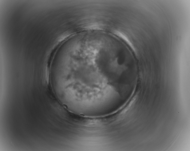 X0000089721219200707051714