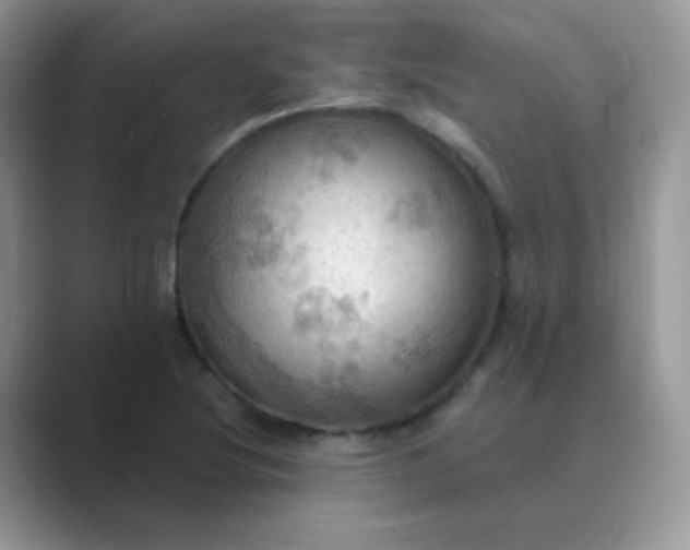 X0000089721220200707051714