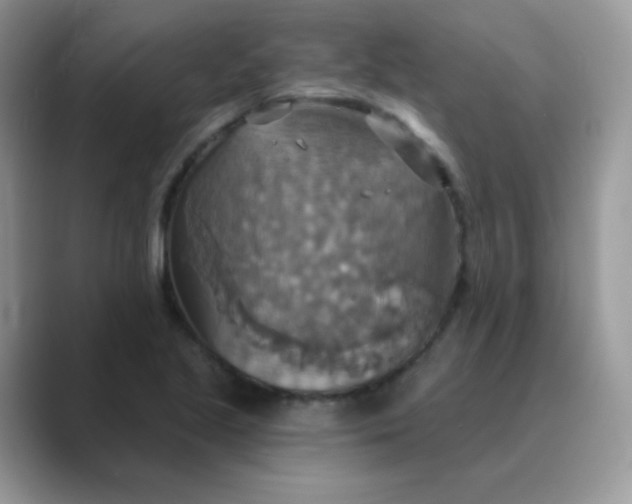 X0000089721221200707051714