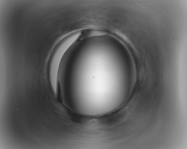 X0000089721222200707051714
