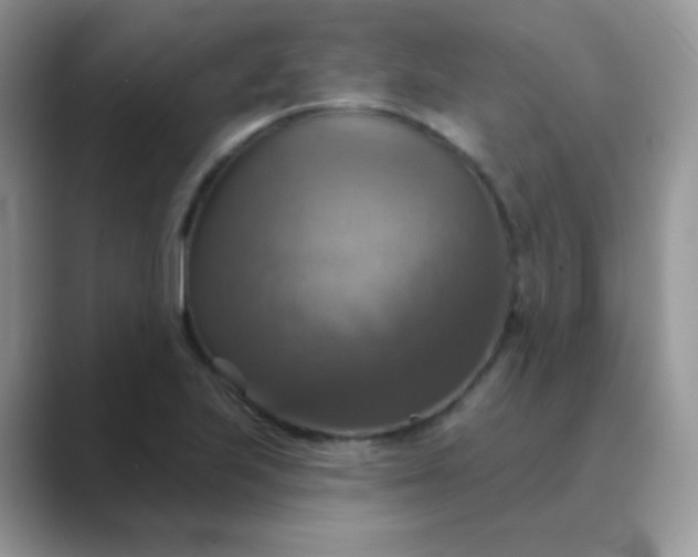 X0000089721223200707051714