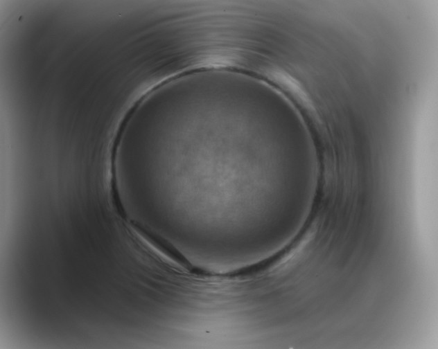 X0000089721226200707051714
