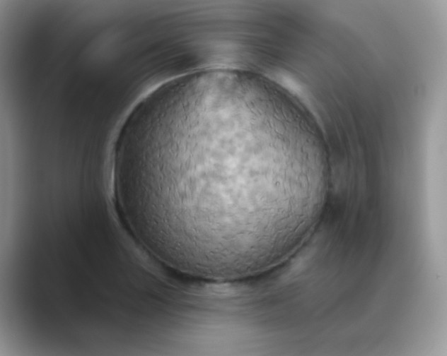 X0000089721227200707051714