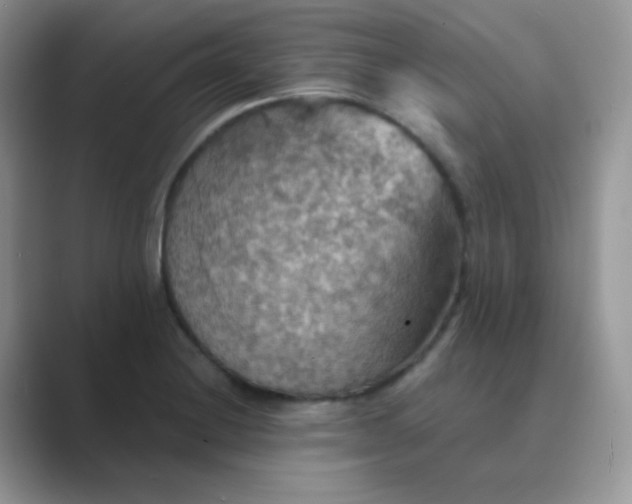 X0000089721228200707051714