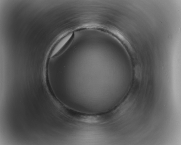 X0000089721229200707051714