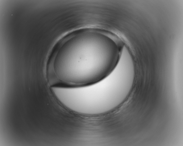 X0000089721230200707051714