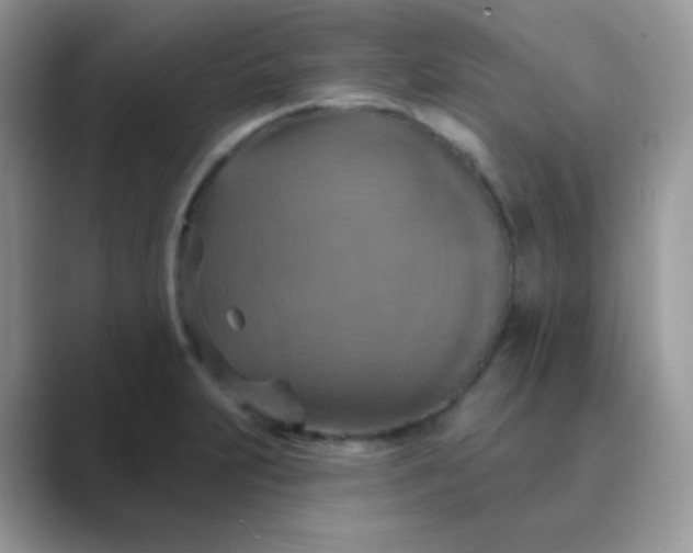 X0000089721231200707051714