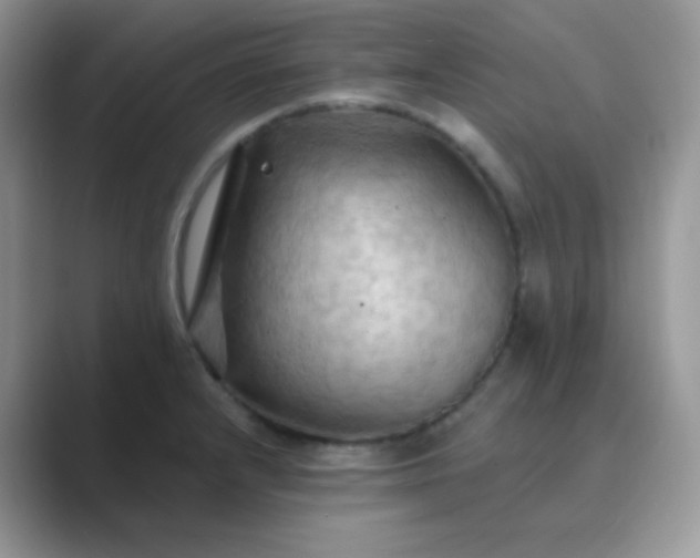 X0000089721232200707051714