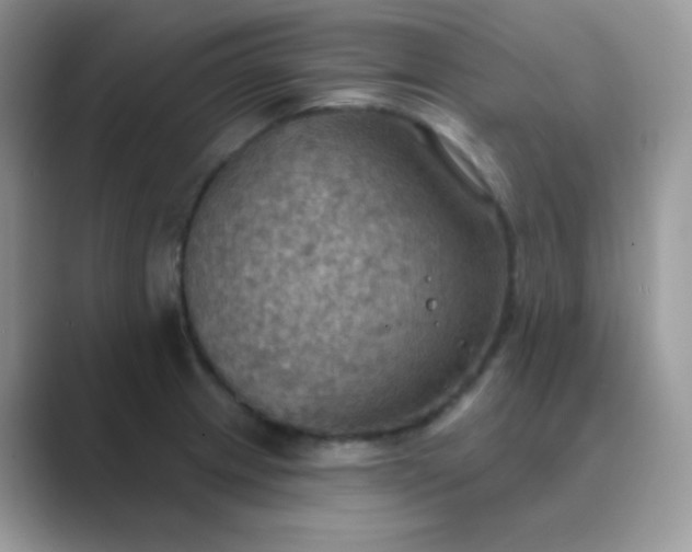 X0000089721233200707051714