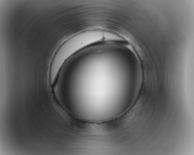 X0000089721234200707051714