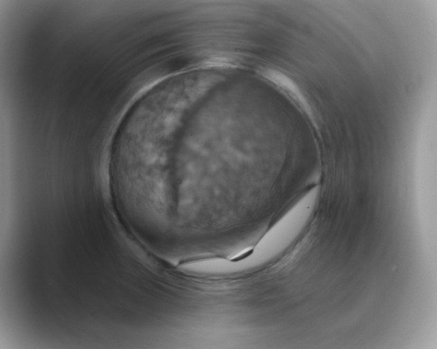 X0000089721235200707051714